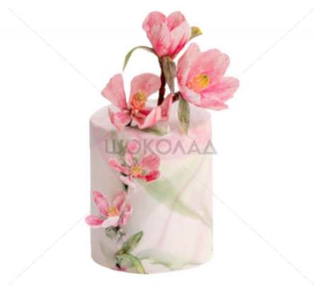 торт Магнолии