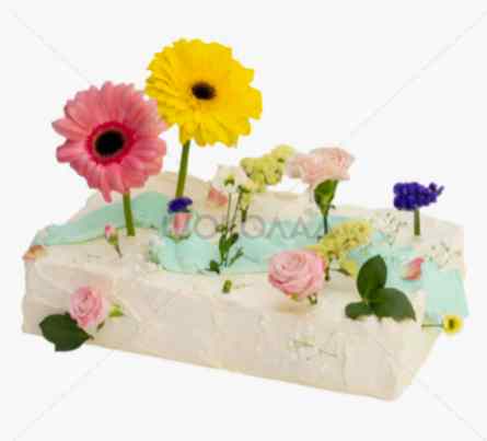 торт Поляна