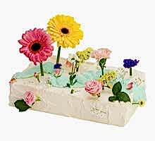 Торт Поляна