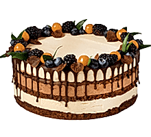 торт Шоколад & Маракуйя1,8 кг